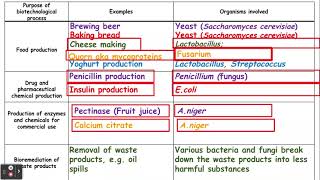 621 Cloning and biotechnology e and f Using microorganisms in biotechnology [upl. by Ardni]