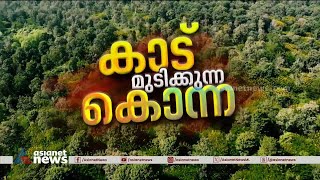 വയനാടൻ കാടുകളിലെ രാക്ഷസ ചെടി വനത്തനിമ നശിപ്പിച്ച് മഞ്ഞക്കൊന്ന  Wayanad Forest [upl. by Anerol]