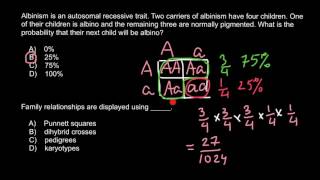 Genetic probability of albinism [upl. by Ahtar43]