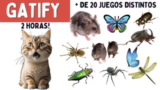 Juegos para Gatos  2 HORAS  Más de 20 Juegos Distintos  Ratones arañas bichos mariposas [upl. by Ahsenik]