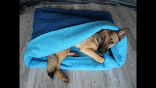 Kuschelsack Schlafsack für den Hund nähen DIY für Anfänger geeignet [upl. by Kere567]