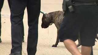 Pembroke Pines man shoots his own dog police say [upl. by Skyler360]