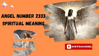 Angel Number 2333 Spiritual Meaning [upl. by Kimmel462]