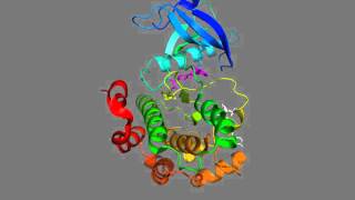 Insulin receptor tyrosine kinase drug pocket binding a nonATPcompetitive inhibitor [upl. by Cortney]