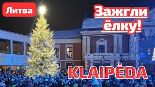 Настоящая красавица в KLAIPĖDA 🎄 ёлка ЛИТВА [upl. by Parsifal798]