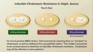 Antibiotic Resistance Antibiotics  Lecture 9 [upl. by Ssecnirp]