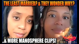 These Modern Women Reveal Why They Are Unmarried Single amp Struggling to Find Men Manosphere Clips [upl. by Willman818]