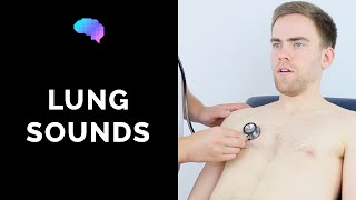 Lung sounds respiratory auscultation sounds  UKMLA  CPSA [upl. by Ennovad440]