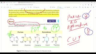 Nucleotide structure and nomenclature  Molecular biology  Biochemistry  First Aid Lectures  Lec2 [upl. by Acinad]