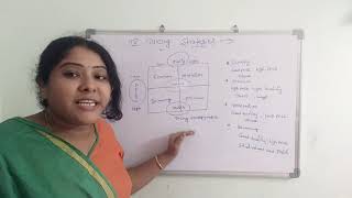 Pricing Strategies and programs in telugu [upl. by Korwin]