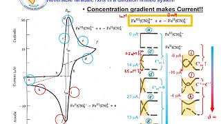 EC2b2 The Overview of Electroanalytical Methods Part 2 [upl. by Nelubez907]