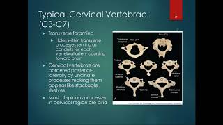 Chapter 8 Lecture Part 2 Osteology of Vertebrae [upl. by Adrell]