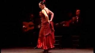 Compagnie Antonio Gades  Suite Flamenca [upl. by Willman78]