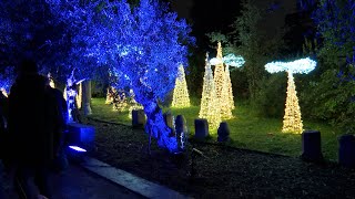 Naturaleza encendida vuelve a iluminar el Jardín Botánico [upl. by Monafo]