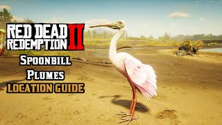 Spoonbill Plumes  Location Guide  Red Dead Redemption 2 [upl. by Ahsinuq]