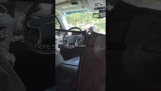 Puppy Car Seat Test Success shorts DOGLOVERS [upl. by Enorahs]