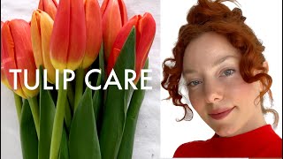 TULIP CARE  Floral Design For Beginners  FLORA LUX [upl. by Milore544]