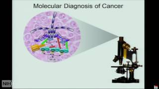 Therapy of lymphoma inspired by functional and structural genomics [upl. by Furie881]