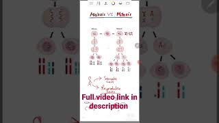 Meiosis vs Mitosis  Class 11 biology [upl. by Dalenna]