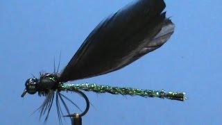 Fly Tying an Ebony Jewelwing with Jim Misiura [upl. by Nnairb792]