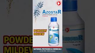 AZOSTAR  Azoxystrobin 23 SC Fungicide [upl. by Stratton220]