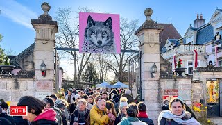 Bourgogne  75 000 visiteurs pour la Saint Vincent Tournante [upl. by Noneek]