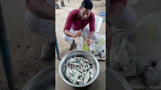 ഈ വിലക്ക് നാട്ടിൽ മത്തി കിട്ടുമോ shortsfeed youtubeshorts fishingmalayalam fishmalayalam fish [upl. by Suraved]