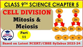 Cell Division Class 9  Mitosis and Meiosis  The Fundamental Unit of Life  Part 11  Biology [upl. by Asilanom]