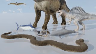 Animals Size Comparison  3D Animation Comparison 2024 60 FPS [upl. by Ennywg]