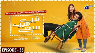 Tere Mere Sapnay Mega Episode 35  Eng Sub  Shahzad Sheikh  Sabeena Farooq  11th April 2024 [upl. by Hedve]