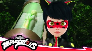 MIRACULOUS  🐞 RECREATION  Akumatized 🐾  SEASON 5  Tales of Ladybug amp Cat Noir [upl. by Naira334]