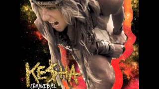 Kesha  Cannibal [upl. by Kunz]