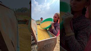 Soyabin Bone Me Ham Bahut Late Ho Jate he 🚜⛽️ minivlog shortsvlog dailyminivlogs [upl. by Narf]