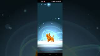 Catching Pokemon pokemongo pokémon shorts shortvideo [upl. by Nnaillij]