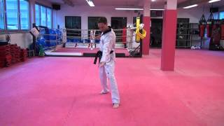 Keypoints Poomsae  Koryo [upl. by Ebarta47]