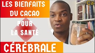 LES BIENFAITS DU CACAO POUR LA SANTÉ ET LE CERVEAU [upl. by Rance420]