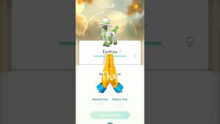 Worth to Evolve Matron Trim 🔥🔥 Dandy Trim Forms Evolution 🤔 Pokémon Go [upl. by Cooe90]