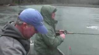 Hoh River Washington Steelhead Fishing [upl. by Edva]