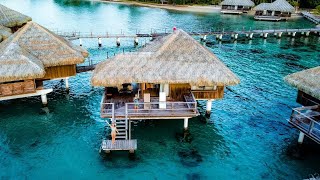 The Worlds CHEAPEST Overwater Bungalow [upl. by Jobe450]