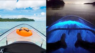 How to see Bioluminescence in Thailand  Railey Beach Travel Guide [upl. by Iru]