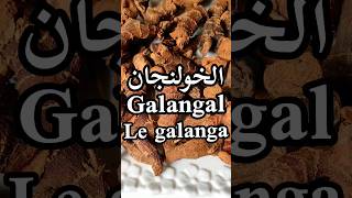 أهم فوائد الخولنجان الصحيةGalangal benefitsLes bienfaits du Galangashorts [upl. by Kale]