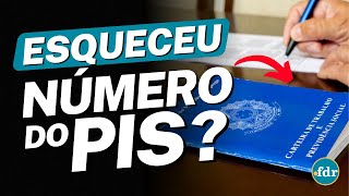 PERDEU O NÚMERO DO PIS VEJA COMO RECUPERAR USANDO SEU CPF [upl. by Anawaj]