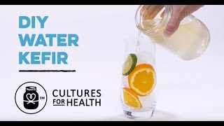 DIY Water Kefir  How to Make Water Kefir [upl. by Ebony]