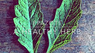 Epazote A Healthy Herb [upl. by Parsons]