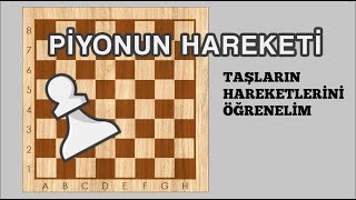 Okul öncesi ve İlkokul için Satranç nasıl oynanır  Taşların Hareketleri  Piyon nasıl hamle yapar [upl. by Nemrac]