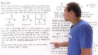 Structure of Amino Acids [upl. by Imac]