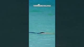 islandtropicalredangmalaysiaholiday [upl. by Aurea]