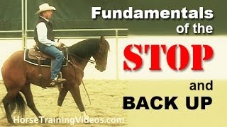 How to Train a Horse to Stop amp Back Up  Basics of sliding stop for reining or cutting [upl. by Brufsky327]