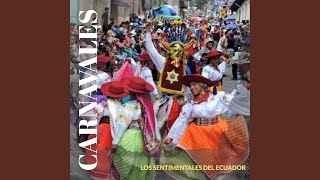 Carnavales Ecuador [upl. by Hoeg179]