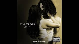 Mille Manny  Stay Forever Official Audio [upl. by Adna642]